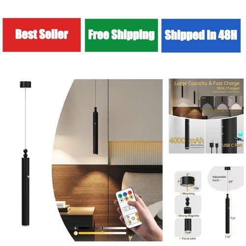 Phwii battery operated pendant - battery,
